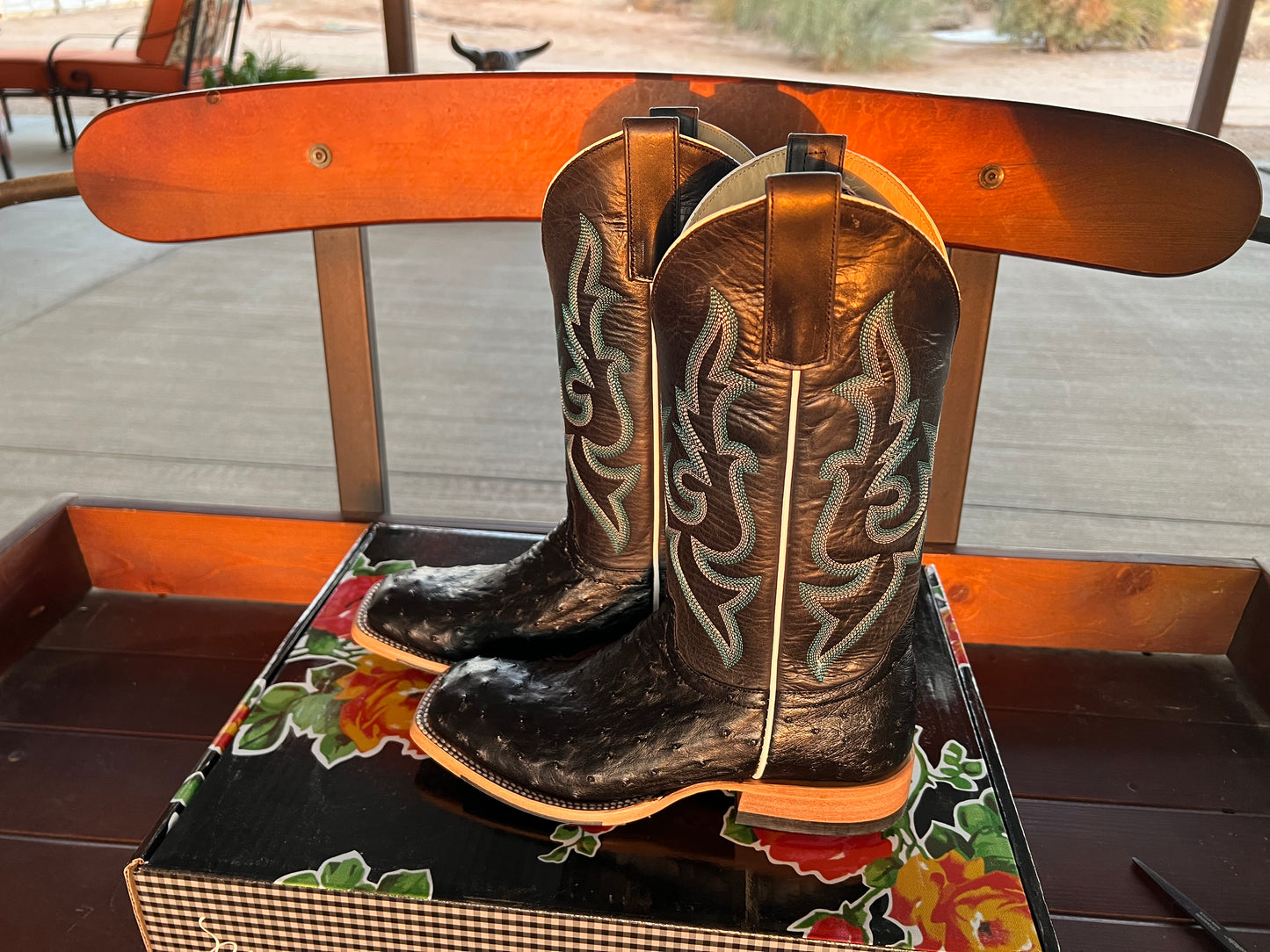 Macie Bean Exotic - Black Full Quill Ostrich (Square toe)