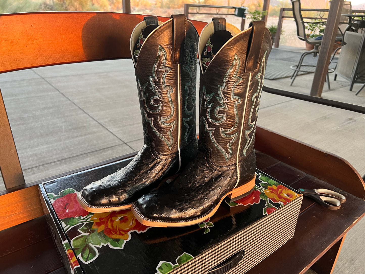 Macie Bean Exotic - Black Full Quill Ostrich (Square toe)